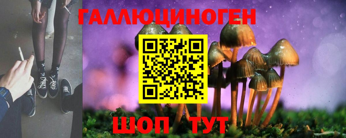 Галлюциногенные грибы GOLDEN TEACHER  Псилоцибиновые грибы Psilocybe  Нижний Новгород  Вход с VPN 
