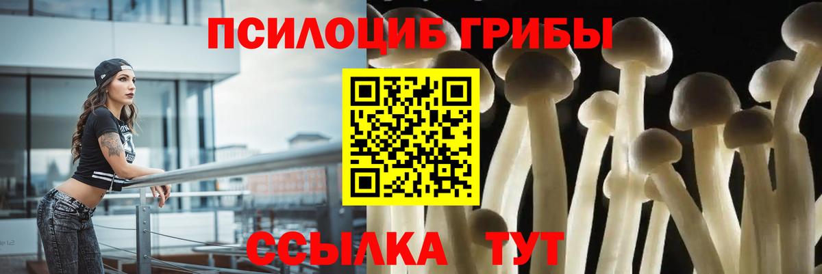 Псилоцибиновые грибы GOLDEN TEACHER Нижний Новгород