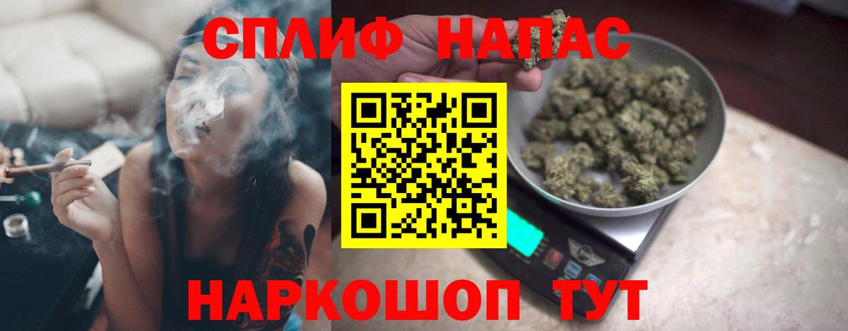 Бошки Шишки семена Нижний Новгород